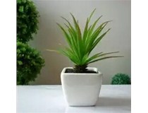 夏日帶上柯尼卡美能達(dá)復(fù)印機(jī) 添點(diǎn)綠植 泡個(gè)花茶 時(shí)刻保濕 一起涼快辦公